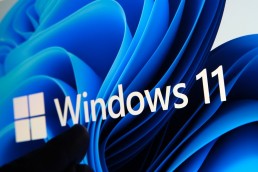 Windows 11 im Browser testen