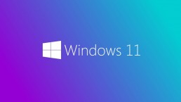 Windows 11 Installation